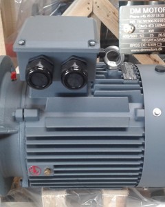 Motor 15.00kW 2800 rpm for swing-hammer M&M